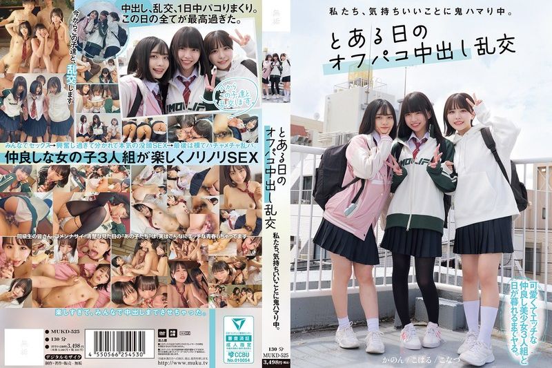 私たち、気持ちいいことに鬼ハマり中。 とある日のオフパコ中出し乱交�