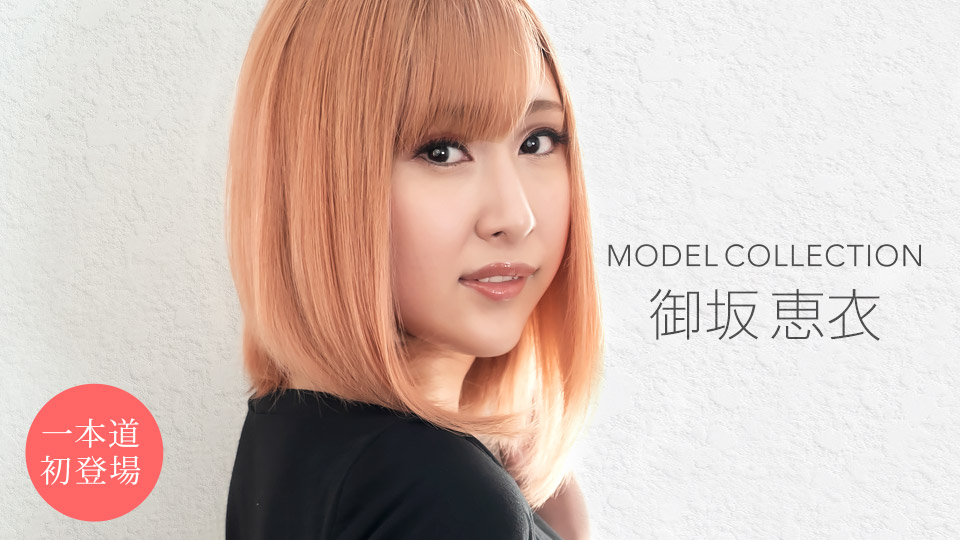 モデルコレクション