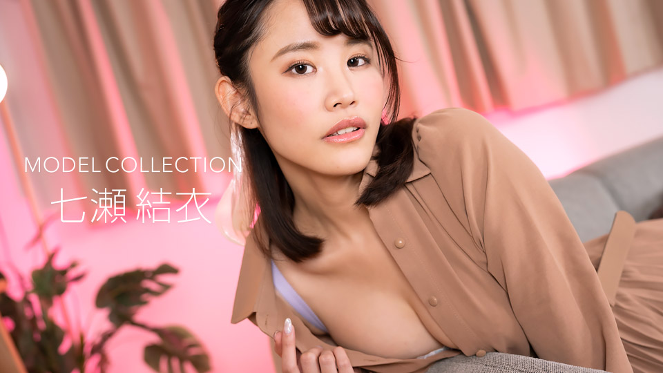 モデルコレクション�