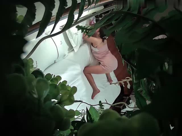 情趣酒店绿叶房偷拍偷情美女