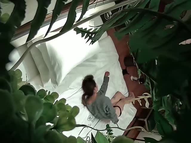【酒店摄像头甄选】绝版绿植房�