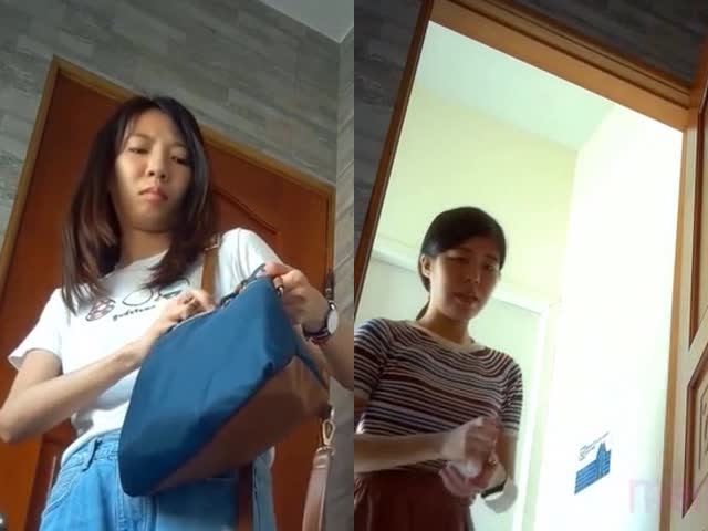 三月最新流出厕拍大神潜入❤️景区女厕